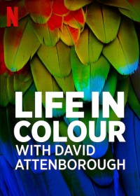 David Attenborough: Sự sống đầy màu sắc | Life in Colour with David Attenborough (2021)