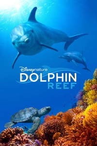 Rạn San Hô Cá Heo | Dolphin Reef (2018)